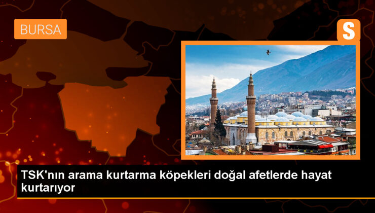 TSK İnsani Yardım Tugayı Doğal Afetler Arama Kurtarma Köpekleri Aktif Rol Alıyor