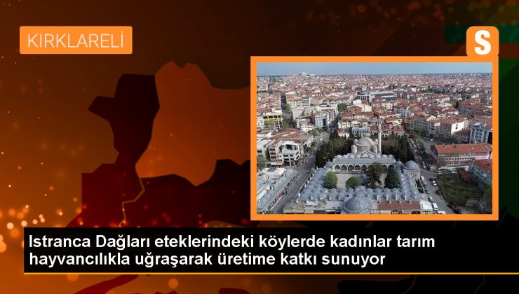 Kırklareli Köylerinde Kadınlar Tarla İşlerinden Hayvan Bakıcılığına Destek Oluyor